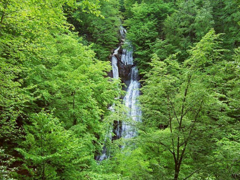 Kackar Resort Hotel Ayder Yaylasi Exterior photo