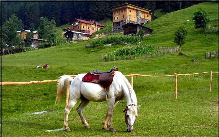 Kackar Resort Hotel Ayder Yaylasi Exterior photo